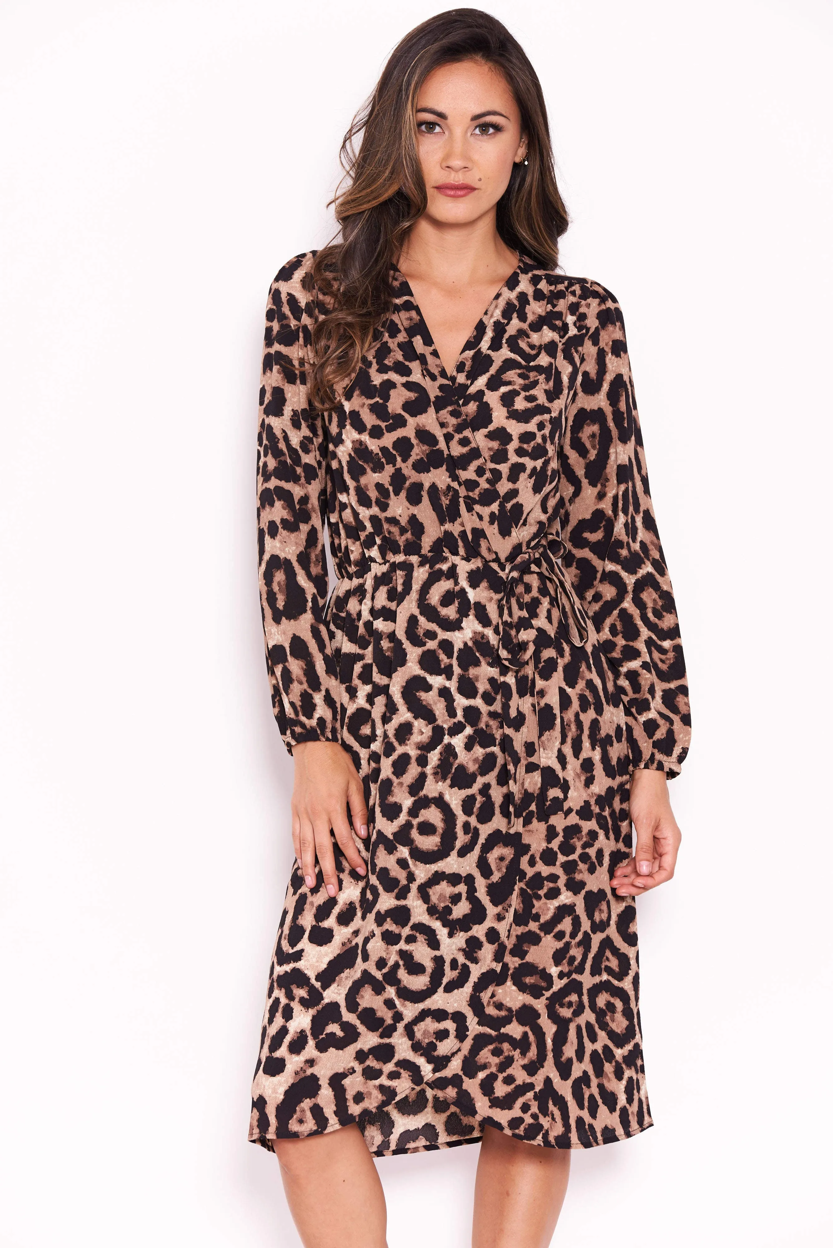 Animal Print V-Neck Wrap Dress