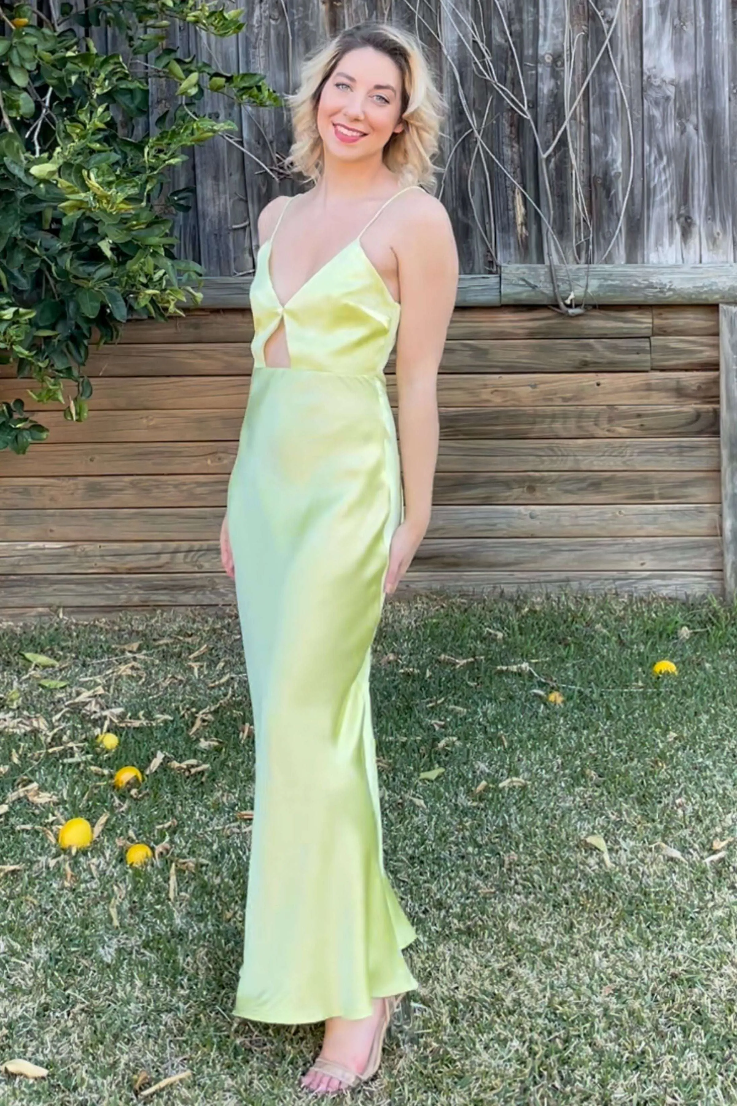 BEC   BRIDGE Citrus Sweetie Maxi Dress - RRP $260