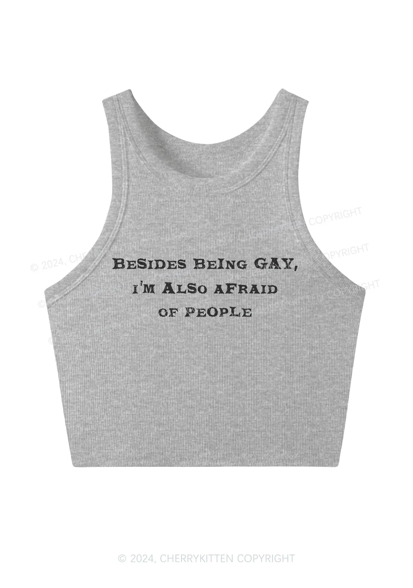 Besides Being Gay Y2K Crop Tank Top Cherrykitten