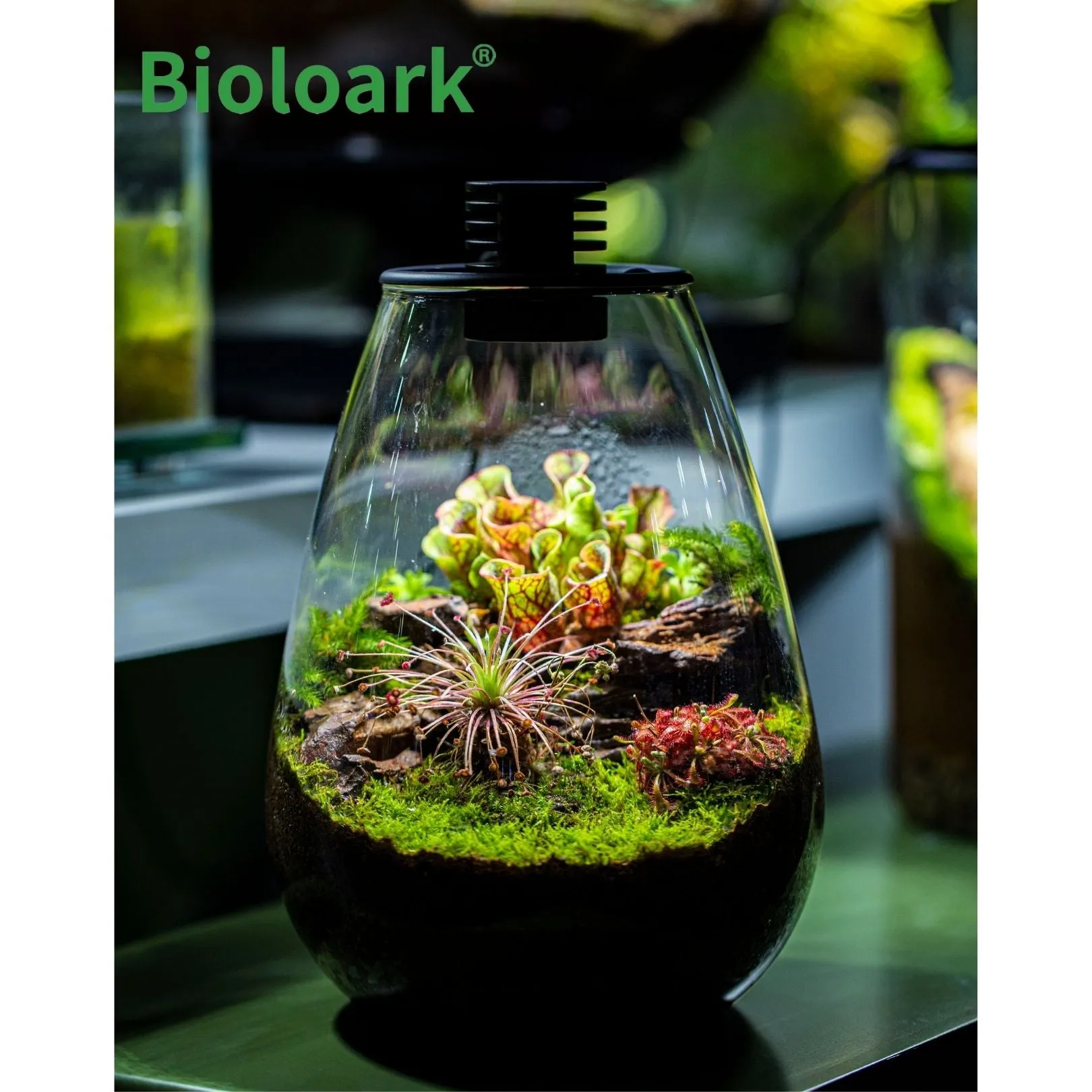 BIOLOARK - Tear Drop Terrarium (SD-175 / SD-200)