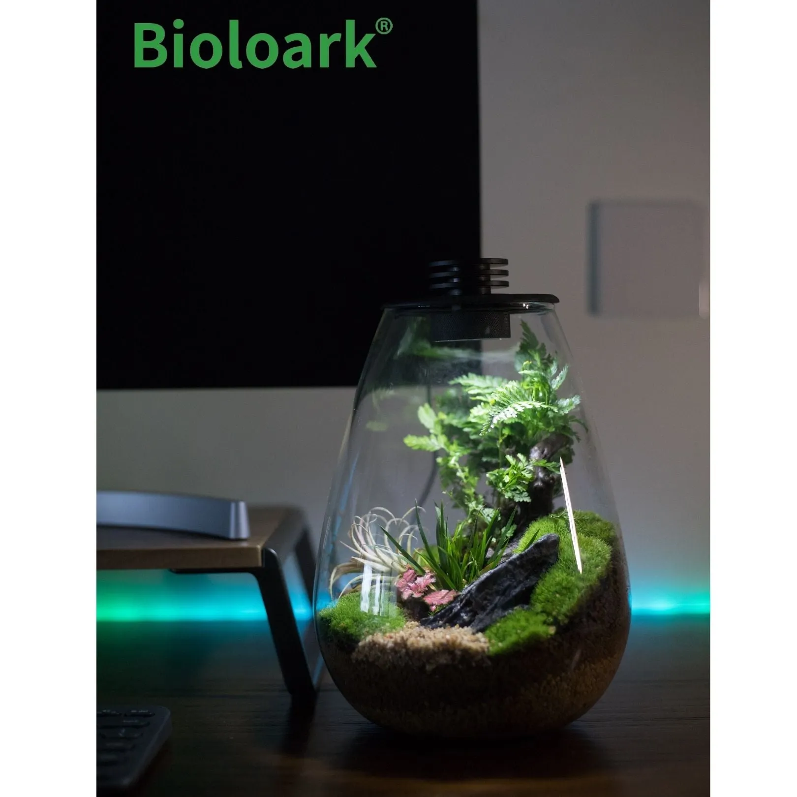 BIOLOARK - Tear Drop Terrarium (SD-175 / SD-200)