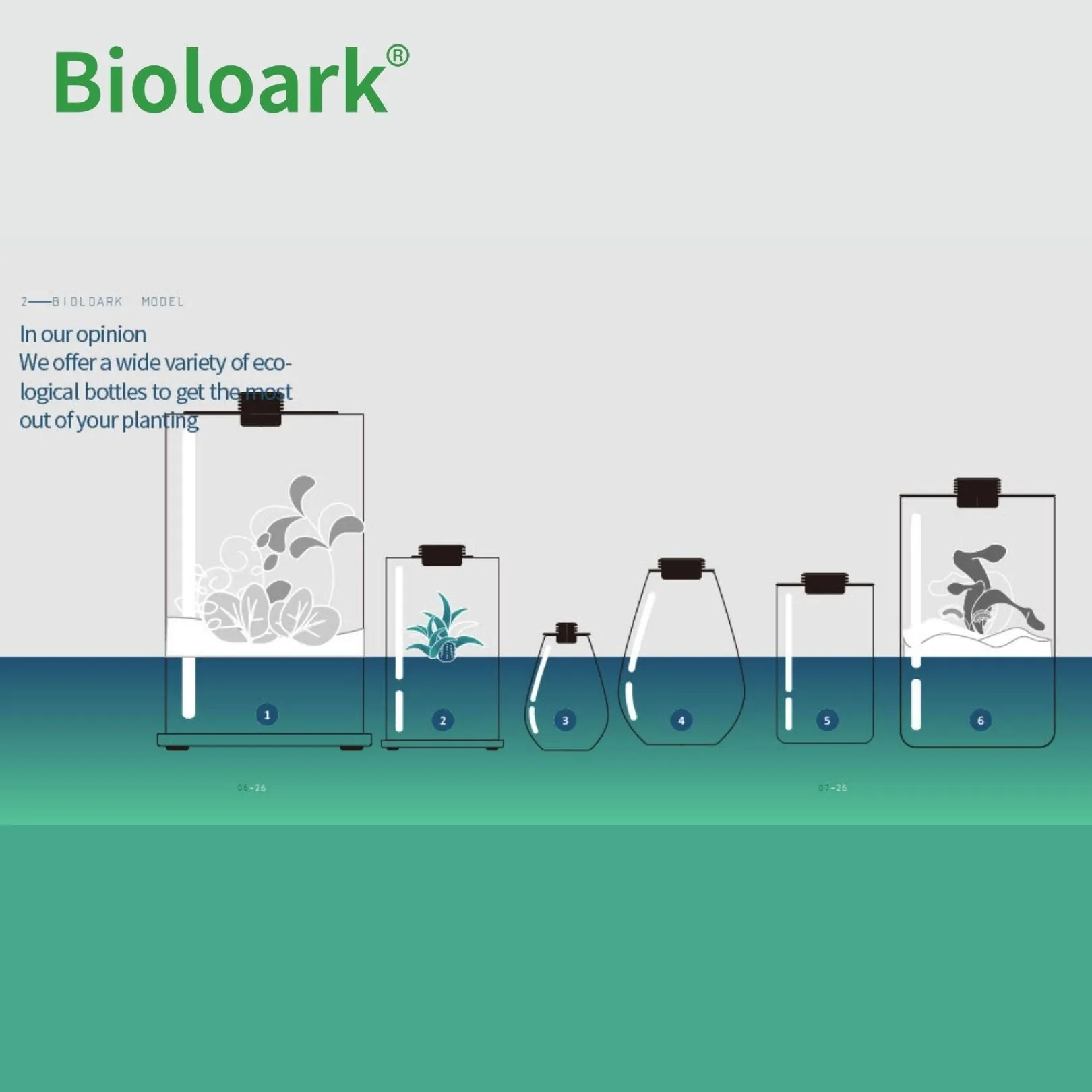 BIOLOARK - Tear Drop Terrarium (SD-175 / SD-200)