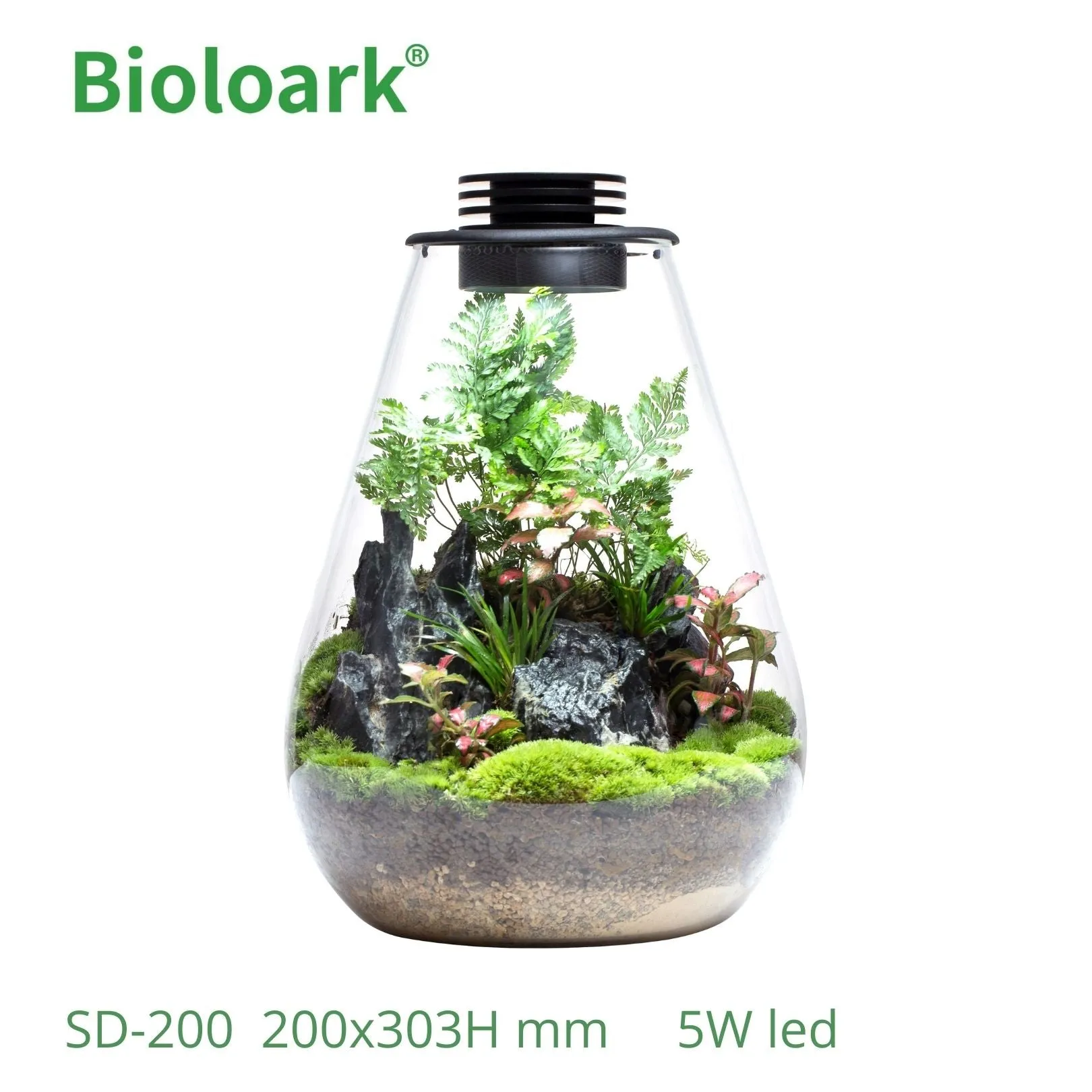 BIOLOARK - Tear Drop Terrarium (SD-175 / SD-200)