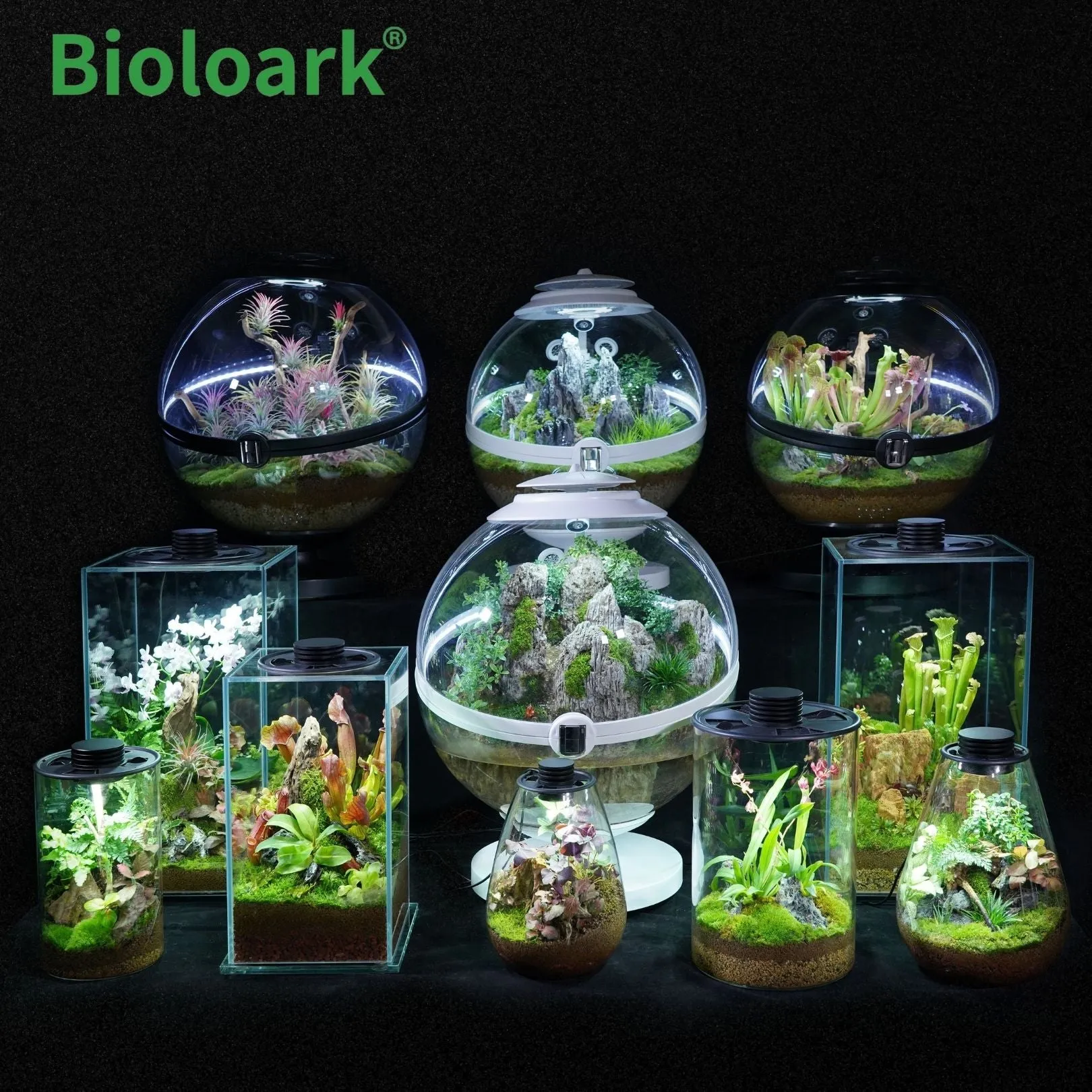 BIOLOARK - Tear Drop Terrarium (SD-175 / SD-200)