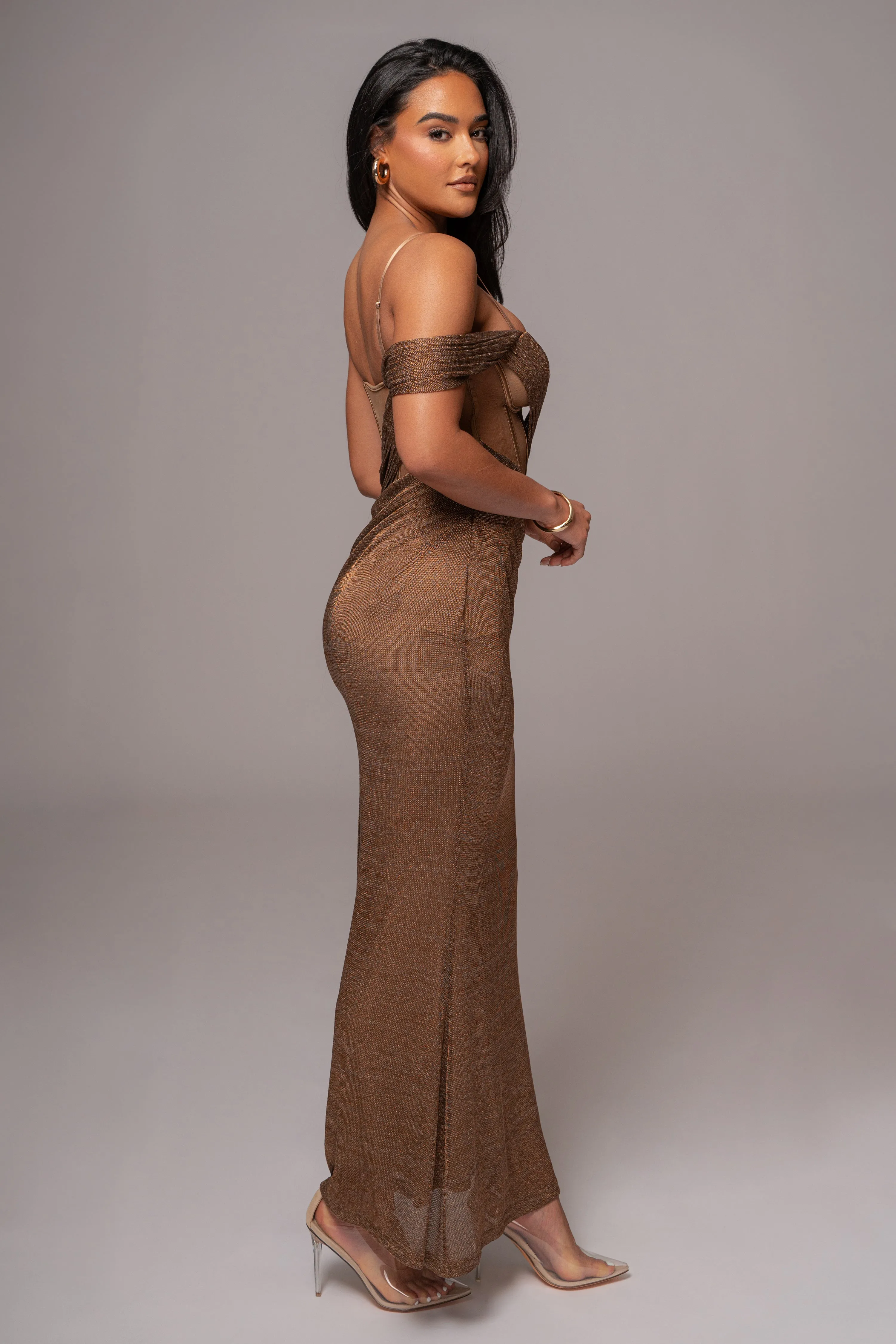 Bronze Metallic Corset Maxi Dress