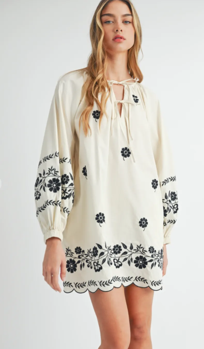 Embroidered Peasant Mini Dress