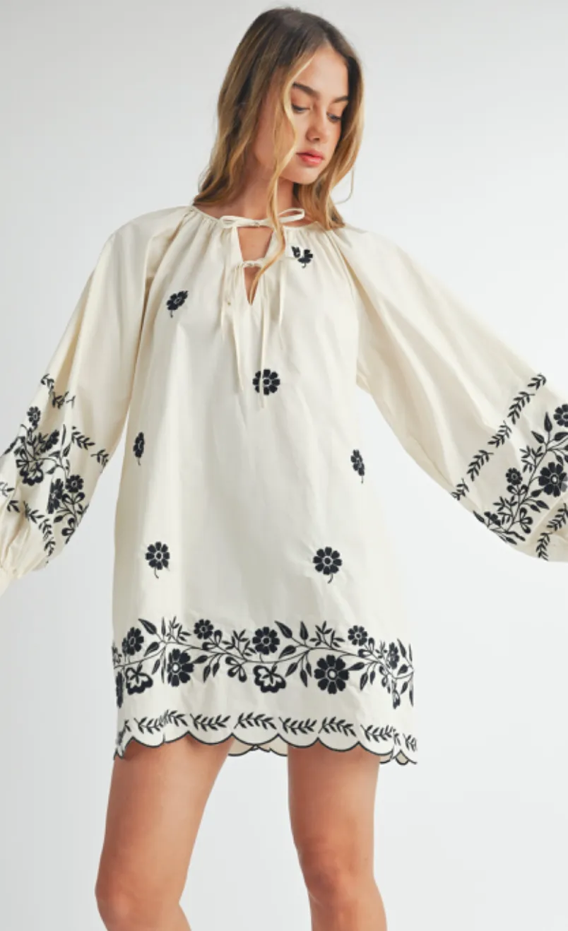 Embroidered Peasant Mini Dress