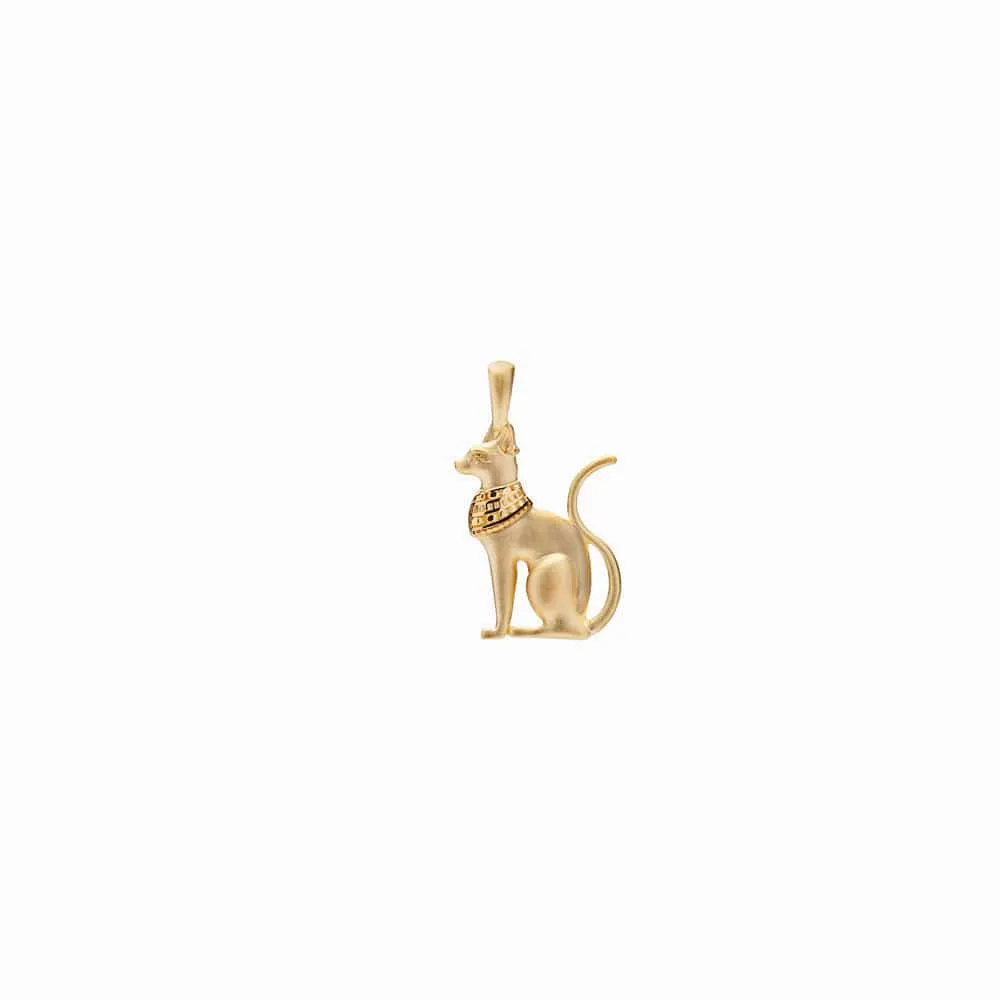 Magical Cat Amulet