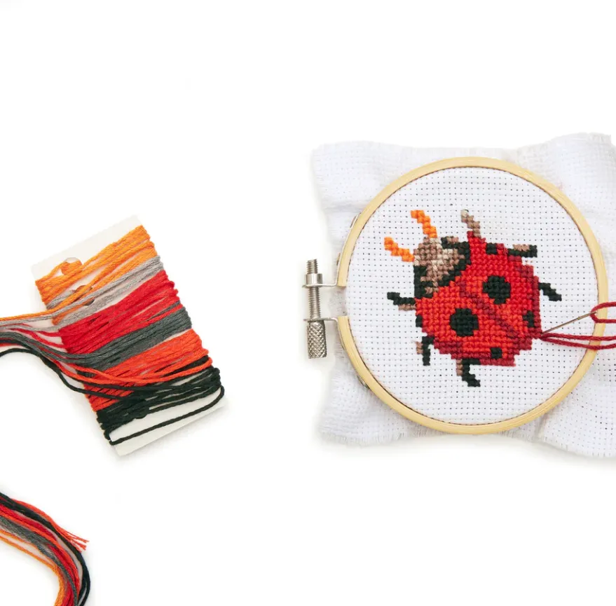 Mini Cross Stitch Embroidery Kit Lady Bug